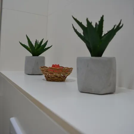Studio 17 Mamaia Nord דירה *